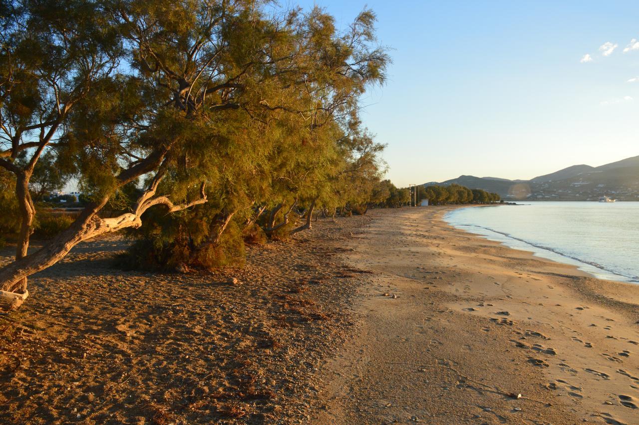 Thalasea - Village Antiparos Town Zewnętrze zdjęcie